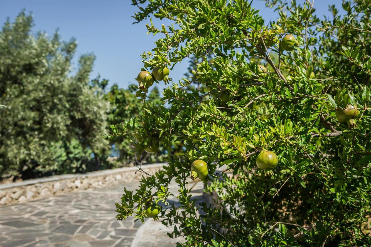 Ploes Luxury Cottages Песада Экстерьер фото